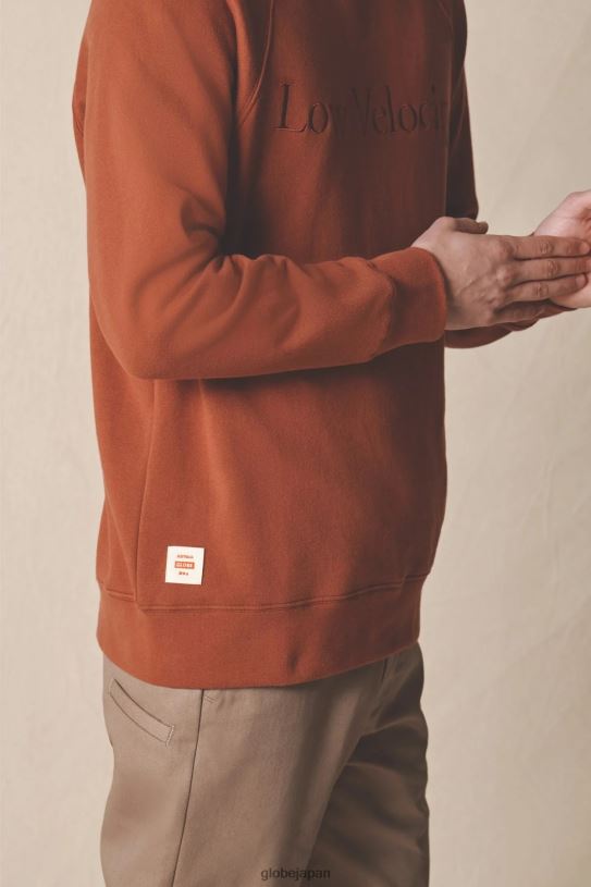 Globe Brand LVクルー V44T331 衣類 ダークウォールナット