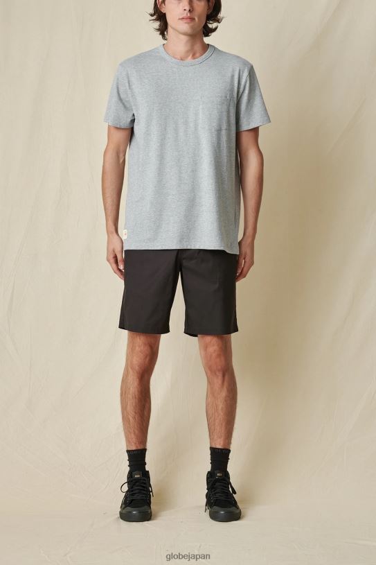 Globe Brand 毎日Tシャツ V44T289 衣類 灰色のマール