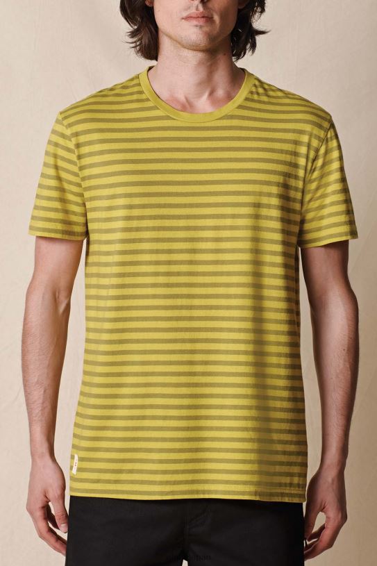 Globe Brand ホライズンストライプTシャツ V44T306 衣類 酸性石灰
