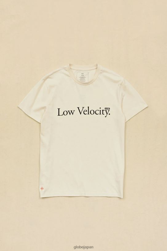 Globe Brand レベルティー V44T300 衣類 漂白剤フリー、染料フリー