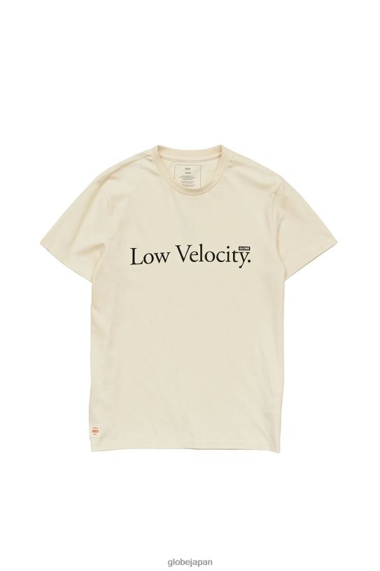 Globe Brand レベルティー V44T300 衣類 漂白剤フリー、染料フリー