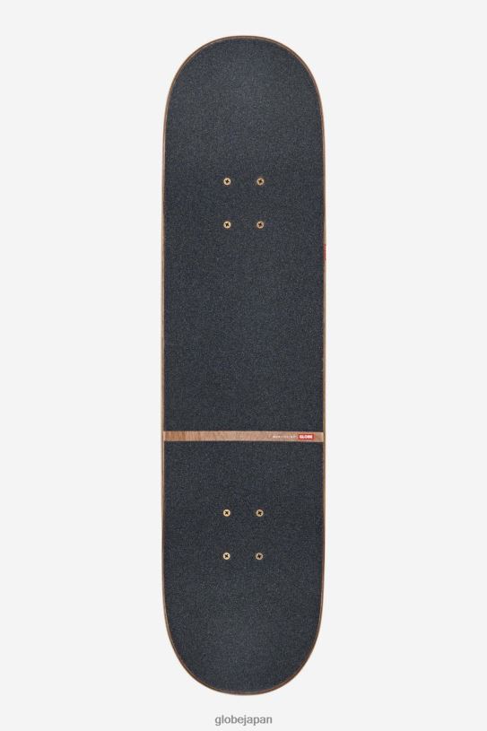 Globe Brand g2 チェック、8.0